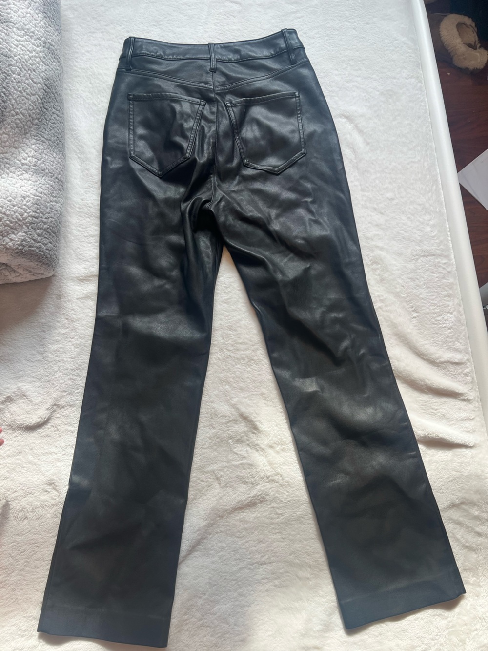 Express Black Faux Leather Pants with Zipper Detail